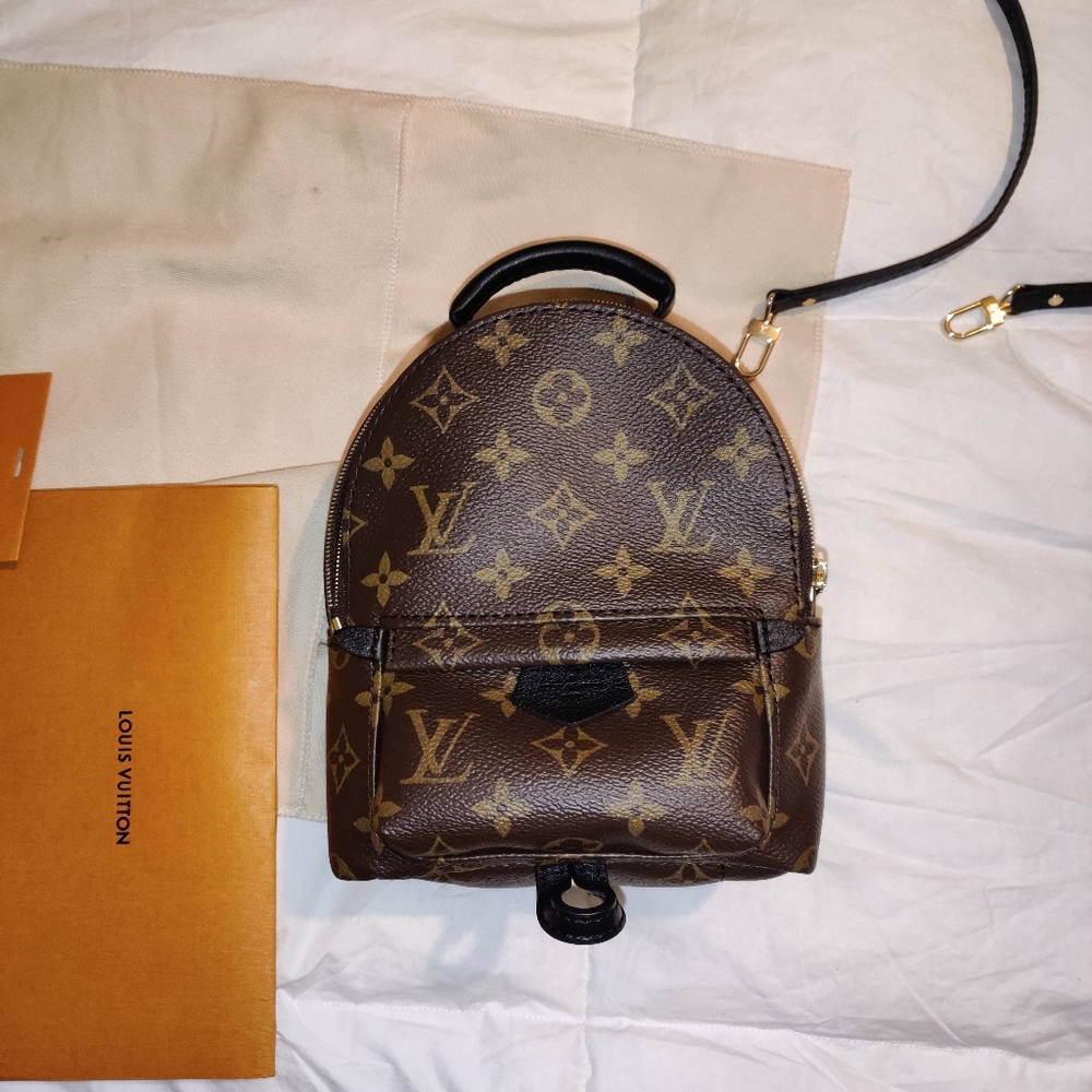 Louis Vuitton palm springs monogram mini